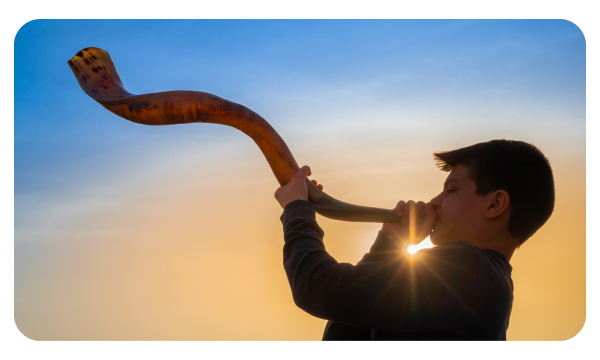 Elul Reflections (1)